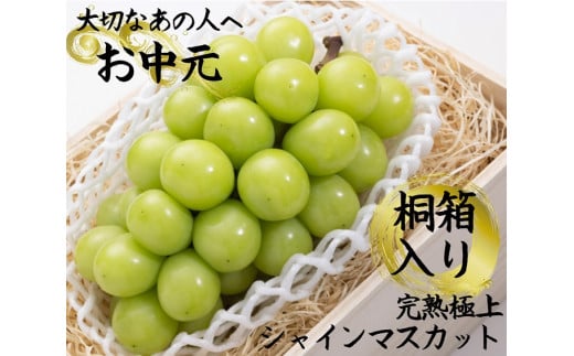 おすすめ 山梨県山梨市 ぶどうのふるさと納税を探す ふるさとチョイス