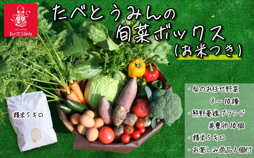 たべとうみんの旬菜ボックス（お米付） 254791 - 愛媛県西条市