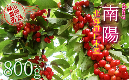 【先行受付/2023年産】横山農園のさくらんぼ【南陽】800g(200g×4)