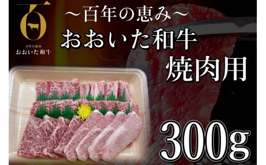 おすすめ バラ カルビ のふるさと納税を探す ふるさとチョイス