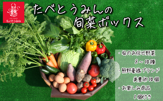 たべとうみんの旬菜ボックス 254790 - 愛媛県西条市