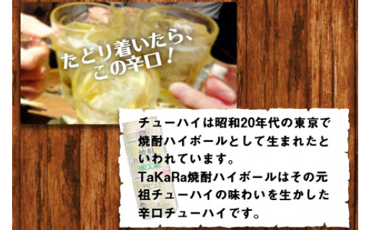 Takara 焼酎ハイボール ゆず 500ml 24本 翌月末迄に順次出荷 宮崎県高鍋町 ふるさと納税 ふるさとチョイス