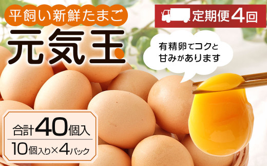 4回定期便】平飼い 新鮮 たまご 元気玉 卵 計160個 (10個×4パック)×4回