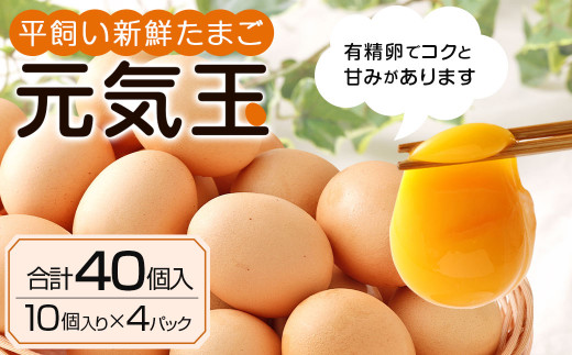 平飼い 新鮮 たまご 元気玉 卵 計40個 (10個×4パック) 270579 - 熊本県