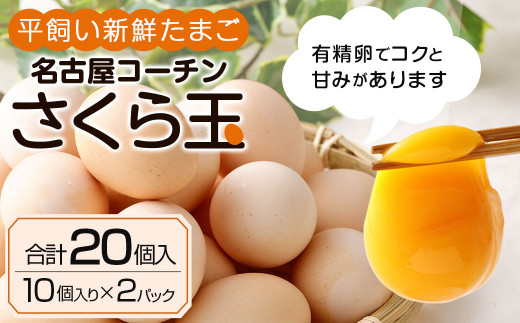 平飼い 新鮮 たまご 名古屋コーチン さくら玉 10個×2パック 卵