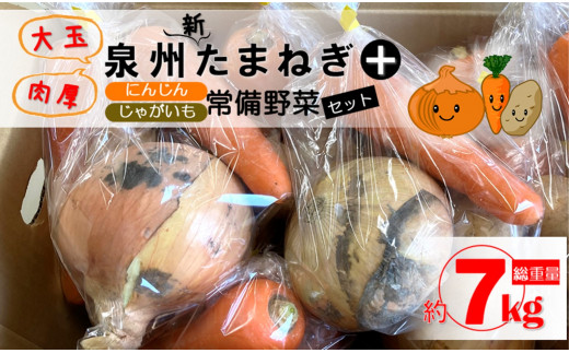 B0165 泉州新玉ねぎの入った常備野菜セット10袋 大阪府貝塚市 ふるさと納税 ふるさとチョイス