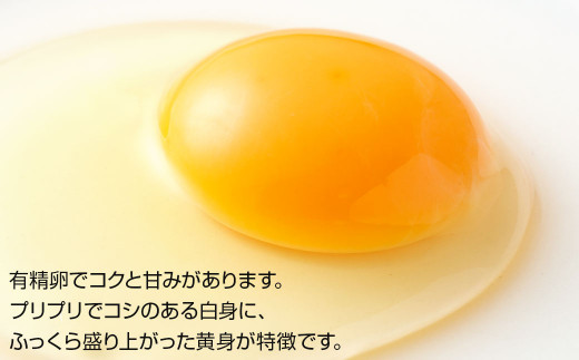 【4回定期便】平飼い 新鮮 たまご 元気玉 卵 計80個 (10個×2パック)×4回