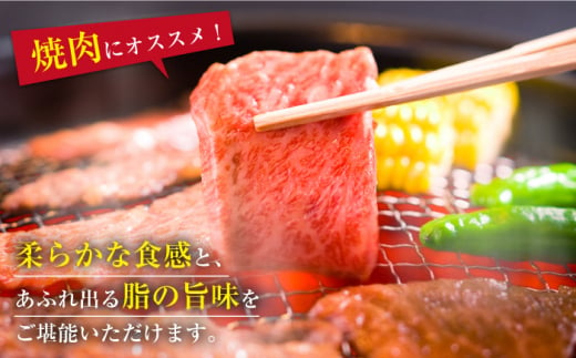 全3回定期便 佐賀牛焼肉カルビ800g 400g 2 焼肉かわの Has011 佐賀県江北町 ふるさと納税 ふるさとチョイス