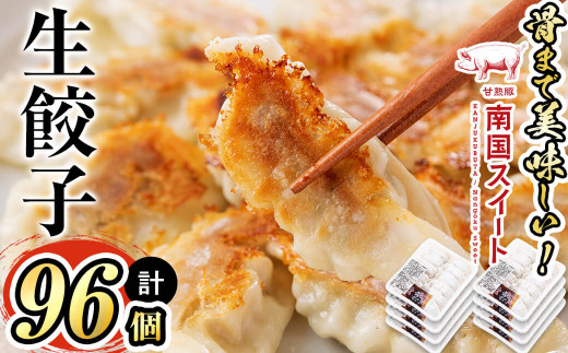 p8-105 甘熟豚南国スイート生餃子(96個)