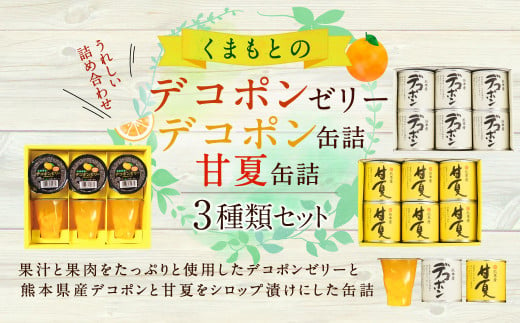 くまもとのデコポンゼリー デコポン 甘夏缶詰セット 18個入り 625530 - 熊本県水俣市