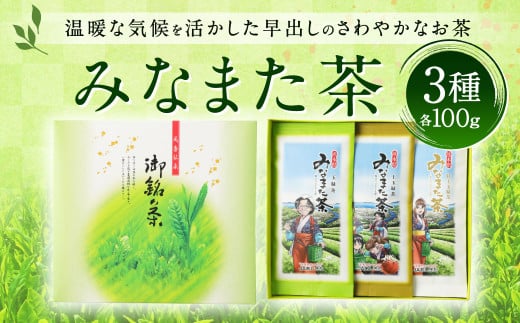 みなまた茶 3点 計 300g (各種100g×3) セット 緑茶 玉緑茶 252752 - 熊本県水俣市