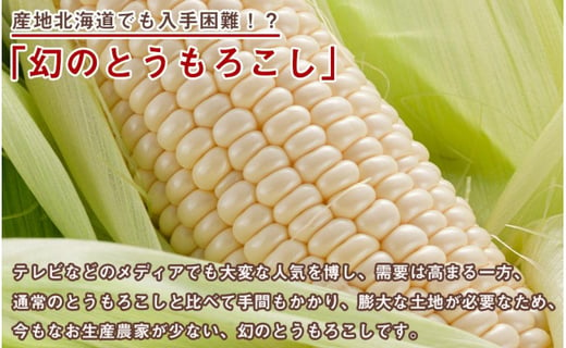 先行予約 あさひやま動物園しろくまコーン4 ホワイトレディ10 13本 2022年8月下旬 発送開始予定 北海道旭川市 ふるさと納税 ふるさとチョイス