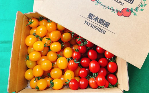 八代市産 宮島農園 ミニトマト (ミックス)1.2kg 生産者支援 高糖度