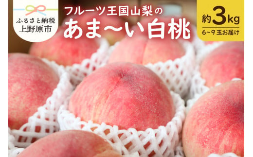 21年版 もものふるさと納税おすすめランキング ふるさと納税 ふるさとチョイス