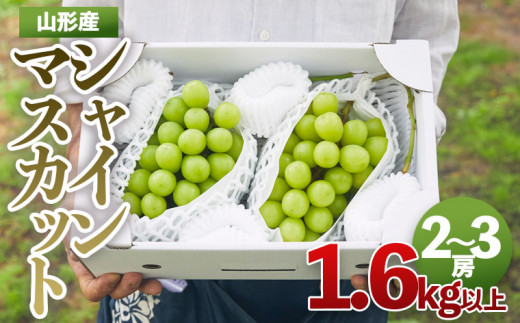 Fy21 8 山形市産 シャインマスカット 秀1 6kg以上 2 3房 山形県山形市 ふるさと納税 ふるさとチョイス