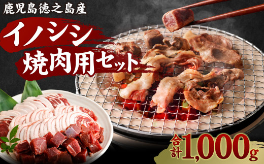 ジビエ 猪肉 焼き肉セット 1kg ロース バラ モモ サイコロ イノシシ いのしし BBQ 