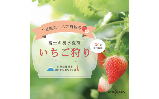 山梨県都留市 夏いちご いちご狩り 21年７月限定 ペア招待券 2名分 限定組 都留市都留市 ふるさと納税 ふるさとチョイス