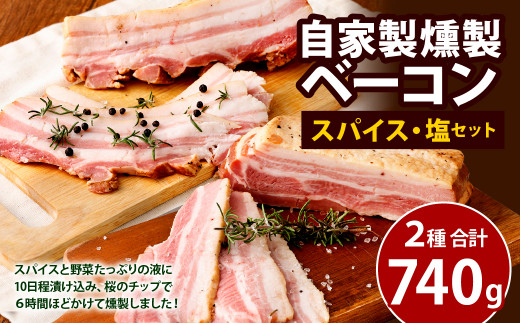 自家製 燻製 ベーコン セット バラエティ合計740g 2種 80pt 長崎県大村市 ふるさと納税 ふるさとチョイス