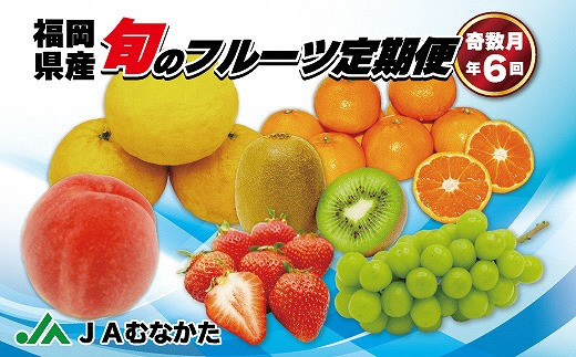 旬のフルーツ定期便 年６回 奇数月コース 随時開始 B5230 福岡県福津市 ふるさと納税 ふるさとチョイス