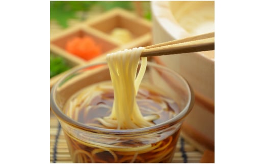 和泉手延べ麺　半生もどし長そうめん・乾ひやむぎ(計19人前)　たつみ麺店(STSSD)【1230118】