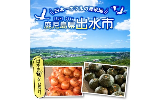 I460 旬の野菜 果物おまかせセット 8 10種類 ツルの恩返し野菜セット 鹿児島県出水市より国産野菜を市場直送 出水市出水駅観光特産品館 飛来里 出水市出水市 ふるさと納税 ふるさとチョイス