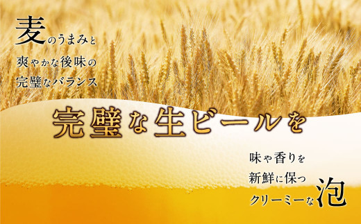 【定期便6か月コース】サッポロ 生ビール 黒ラベル 350ml 缶 24本入りセット【毎月届く】