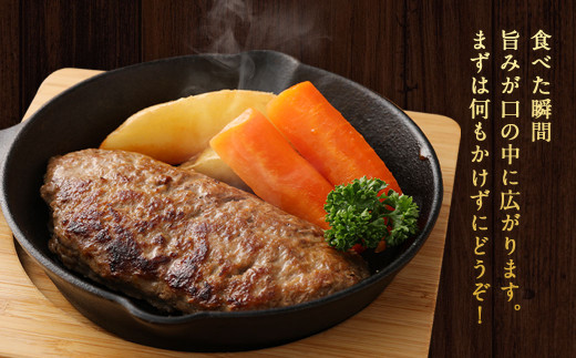 むなかた牛 ハンバーグ 150g 6個 セット 計900g Ka0139 福岡県宗像市 ふるさと納税 ふるさとチョイス