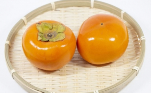 柿 富有柿 Lサイズ 14～15玉入 かき カキ 果物 くだもの フルーツ