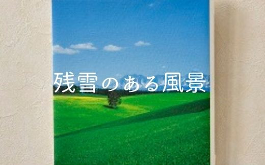 写真家 阿部俊一 キャンバスプリント 0 19 北海道美瑛町 ふるさと納税 ふるさとチョイス