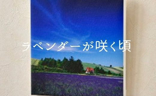 写真家 阿部俊一 キャンバスプリント 0 19 北海道美瑛町 ふるさと納税 ふるさとチョイス