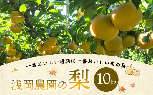  浅岡農園 の 梨 10kg 豊水 秋月 新高 甘太 果物 大分県産 【2025年9月上旬-11月上旬発送予定】