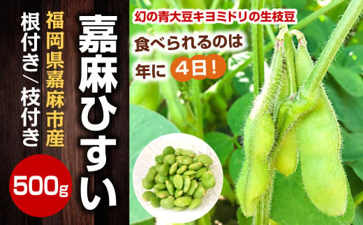 年に1度の青々とした若さをお届け！希少な嘉麻ひすい 根付き 枝付き 生枝豆 【2025年10月頃より順次発送】 希少 青大豆 キヨミドリ  1500817 - 福岡県嘉麻市