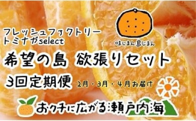 美生柑 みしょうかん 愛南産の河内晩柑 約7 5キロ入り 22個 18個 愛媛県愛南町 ふるさと納税 ふるさとチョイス