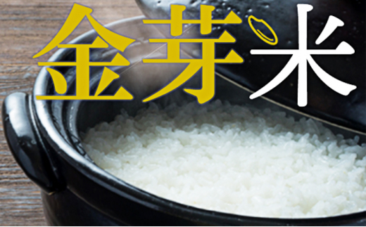 大割引 ふるさと納税 - 静岡県 島田市 JAおおいがわ金芽米5kg（無洗米