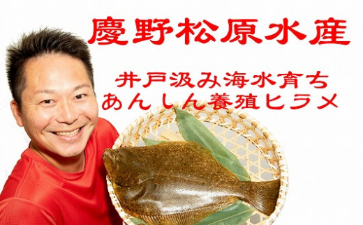 【慶野松原水産】〈あんしん・あんぜん〉養殖ヒラメ刺身