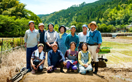 【令和4年産】【定期便 6回】 熊本県産 鶴喰米 つるばみまい 5kg