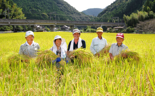 【令和4年産】 熊本県産 鶴喰米 つるばみまい 鶴喰米5kg