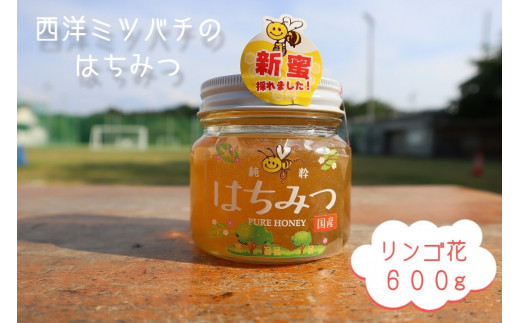 はちみつ 信州 飯綱町産 『西洋みつばち』ハチミツ ＜リンゴ花＞ 600g ※沖縄および離島への配送不可 ブンブン渋沢 長野県飯綱町 [1148] 271718 - 長野県飯綱町