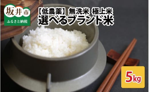 【令和6年産・新米】【低農薬】福井県産 極上無洗米 5kg 《ミルキークイーン》[A-8806_03]