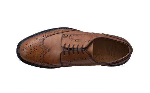 REGAL 革靴 紳士 ビジネスシューズ ウイングチップ ブラウン 15TR