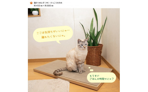 猫のつめとぎ（中）【けっこう】おおきめサイズで2枚入り! 12-056