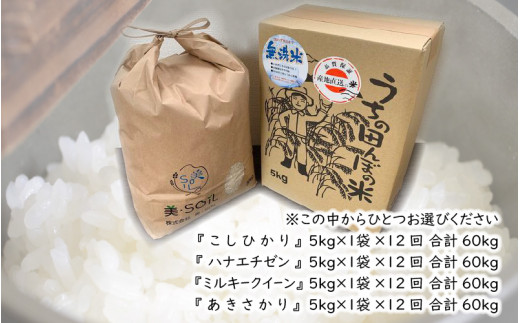 令和5年産】【12ヶ月連続お届け】福井県産 低農薬極上米 無洗米 5kg