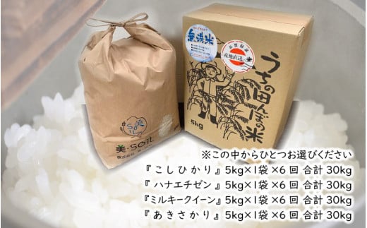 令和6年産・新米】【6ヶ月連続お届け】福井県産 低農薬極上米 無洗米 5kg × 6回 計30kg 『こしひかり』 [J-8806_01] - 福井県坂井市｜ふるさとチョイス  - ふるさと納税サイト