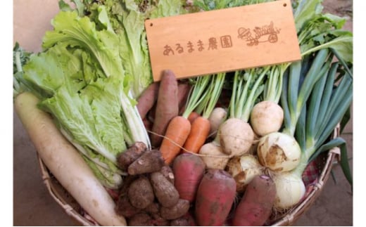 [№5904-0357]【農家直送】農薬不使用季節の野菜セット（10品） 271749 - 千葉県成田市