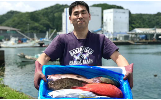 新鮮土佐魚の詰合せセットC 784872 - 高知県宿毛市