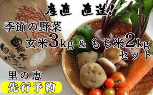 令和４年９月発送 先行予約受付中 野菜と玄米3kg もち米2kgセット 岩手県西和賀町 ふるさと納税 ふるさとチョイス