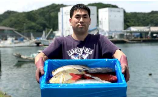 新鮮土佐魚の詰合せセットB 784871 - 高知県宿毛市