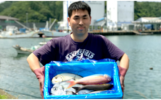新鮮土佐魚の詰合せセットA 784870 - 高知県宿毛市