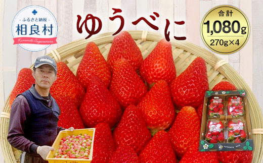 12月上旬 発送予定 いちご ゆうべに 約計1kg 270g 4p 相良村産 44 01 熊本県相良村 ふるさと納税 ふるさとチョイス