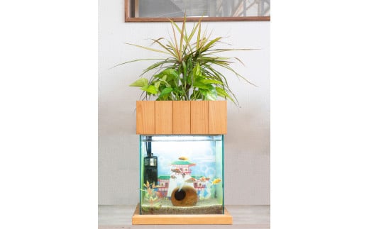 水槽セット　30cm  せせらぎビオトープ　アクアリウム　照明　木枠台　魚 779732 - 広島県東広島市